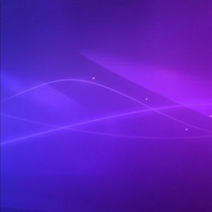 Meet your Posher, Dylan